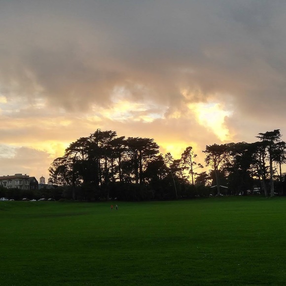 Meet your Posher, Sunny! - Picture 1 of 1